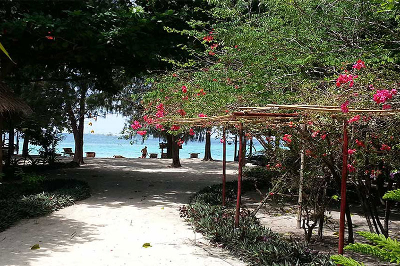 Green View Resort Koh Lipe : Beach Front Bungalow Hot Water Shower